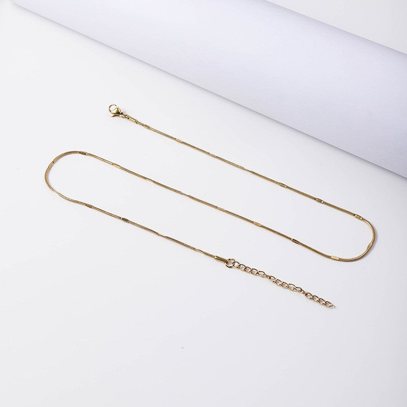 Cross-border hot sale stainless steel round snake embossed chain 18K real gold electroplated titanium steel necklace fashion snake bone chain female plain chain