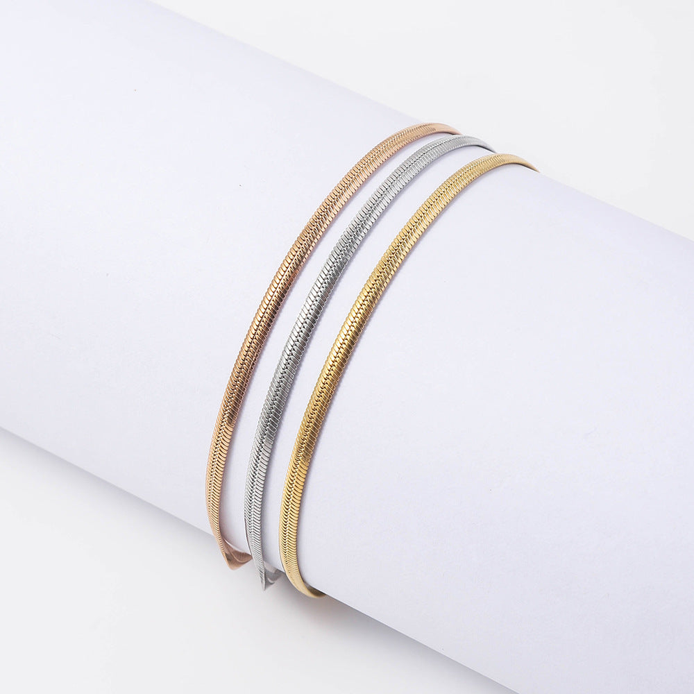 Stainless Steel Snake Bone Chain Bracelet Women's European and American Trend Fashion Furnace 18K Vacuum Electroplating Titanium Steel Push Bracelet